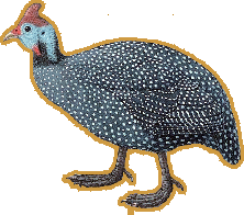 Guinea Fowl